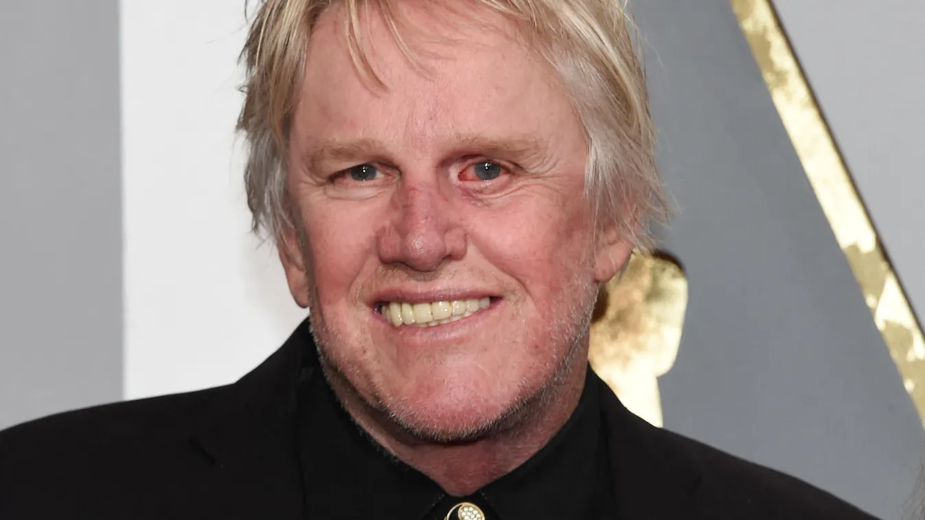 gary busey tönktrement celebek  Hollywood - California One Person Television Show Incidental People Photography Red Carpet Event Gary Busey Arts Culture and Entertainment Attending Celebrities 