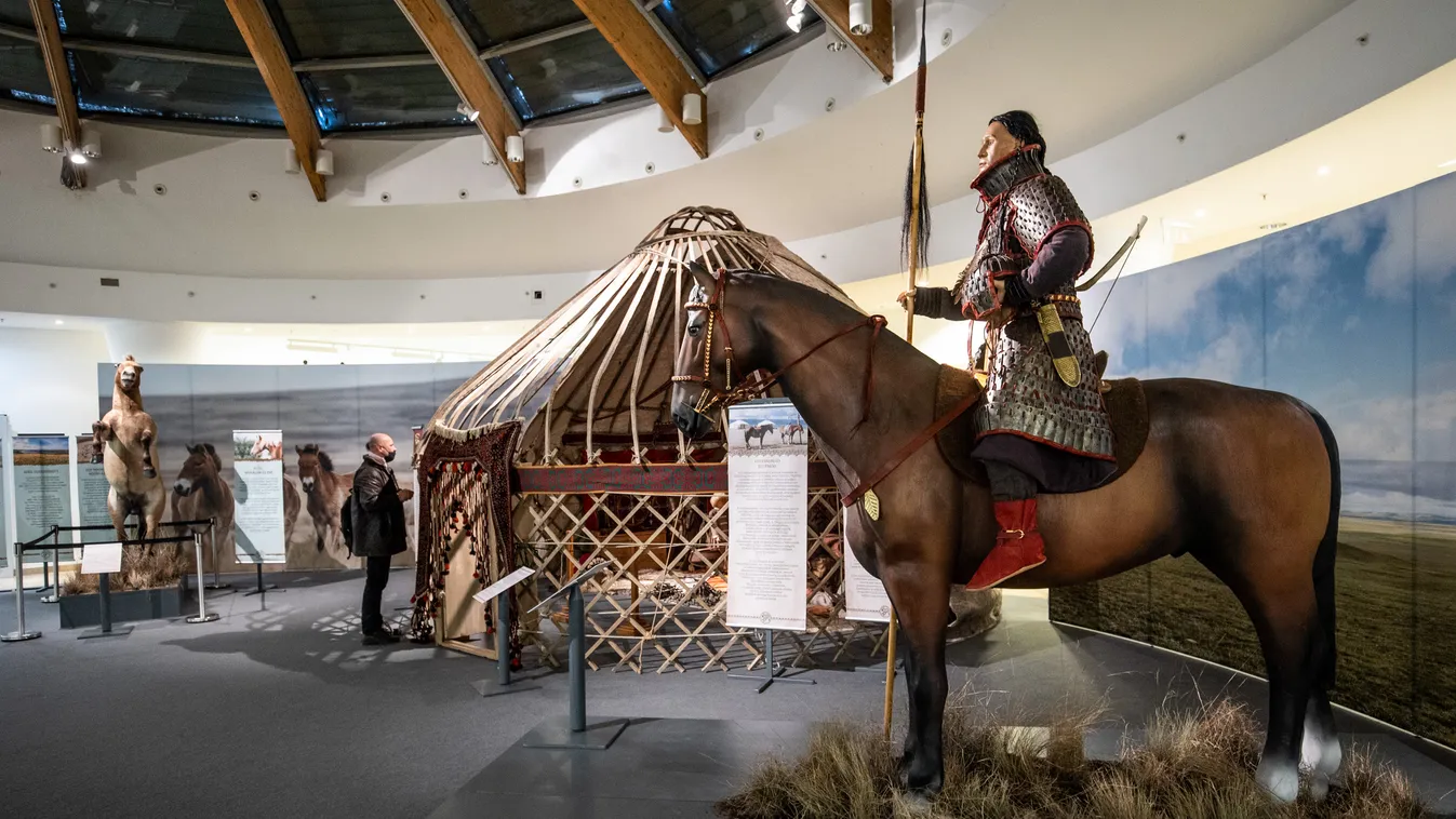 A ló háziasítása – Az őslovaktól az ősök lováig 