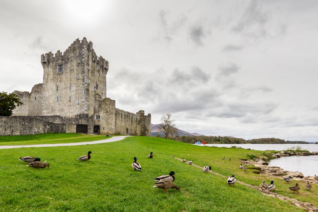 Killarney-tavak: Írország festői szépségű természeti kincse, galéria, 2023 