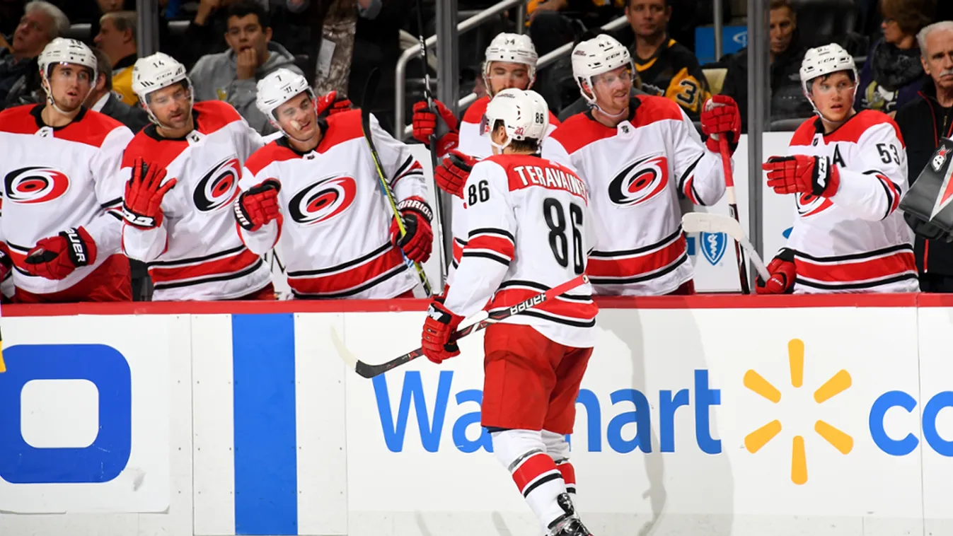 Carolina Hurricanes, NHL 