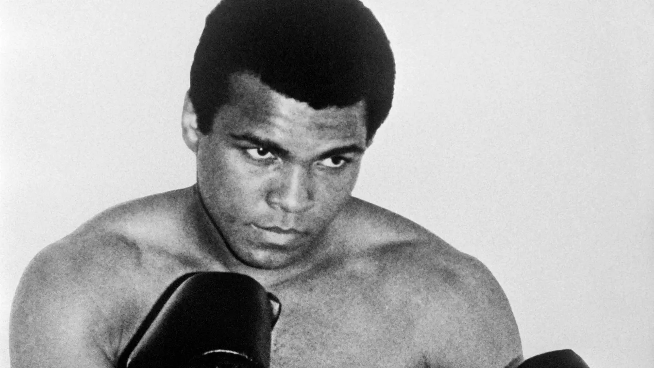 Muhammad Ali, Cassius Clay, boksz 