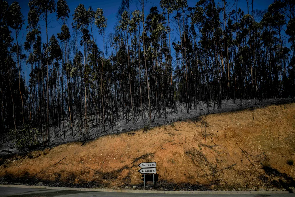 Portugália, erdőtűz, 2022.07.10. tűzoltó 