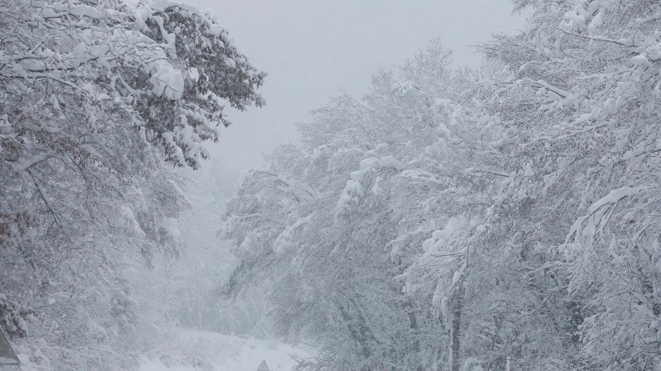 Kocevje, 2023. január 23.
Autók haladnak a sűrű hóesésben a Ljubljana térségében levő Kocevje településnél 2023. január 23-án. Szlovéniában havazás lassítja a közlekedést, és hóviharok elektromos vezetékeket rongáltak meg, áramkimaradást okozva az ország 
