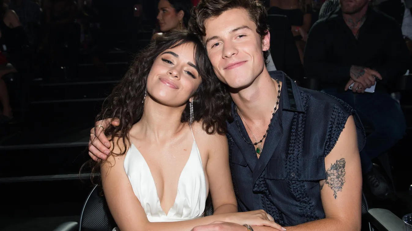 2019, MTV Video Music Awards, Shawn Mendes 