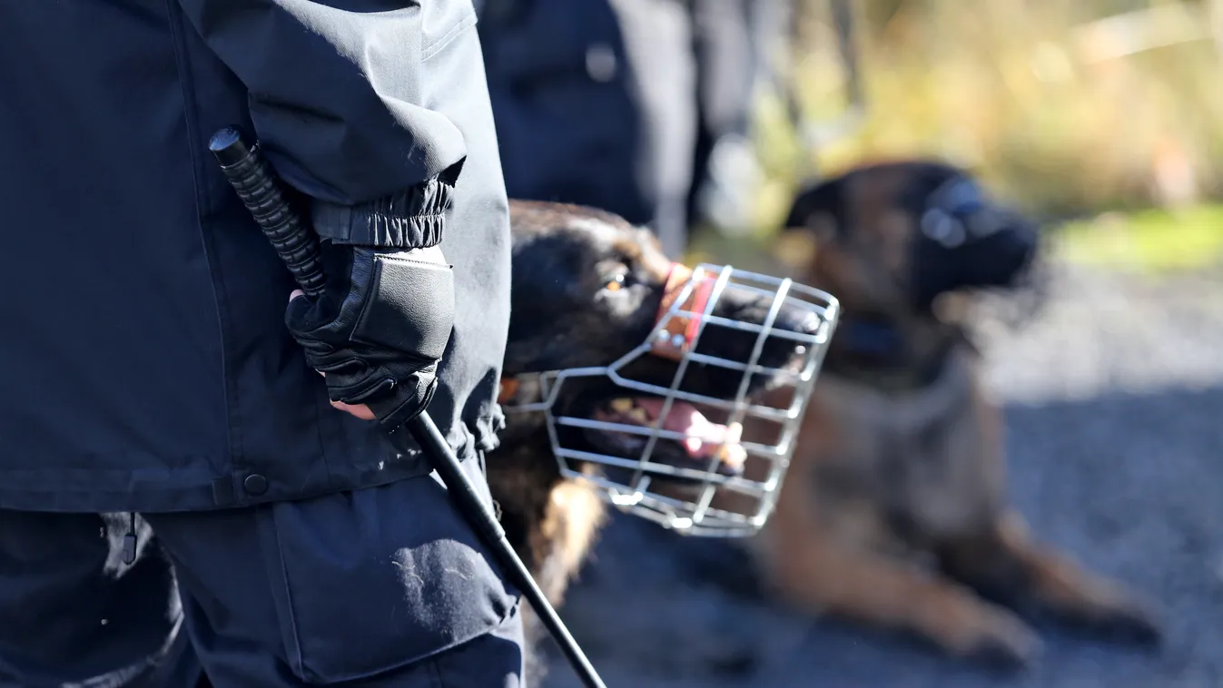 Laupheim német rendőr kutya rendőrkutya meghalt egy magyar vendégmunkás, pontosabban meggyilkolták 