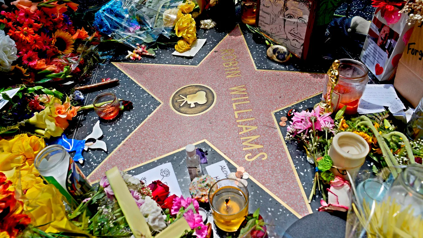 Elhunyt Robin Williams 