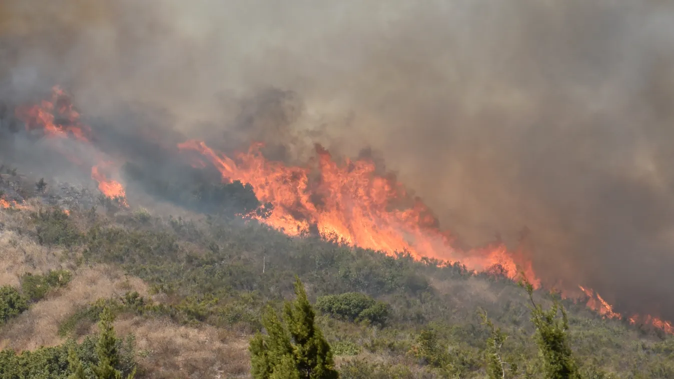 State of emergency as fires hit California Horizontal 