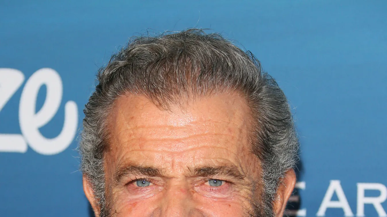Mel Gibson 2019 
