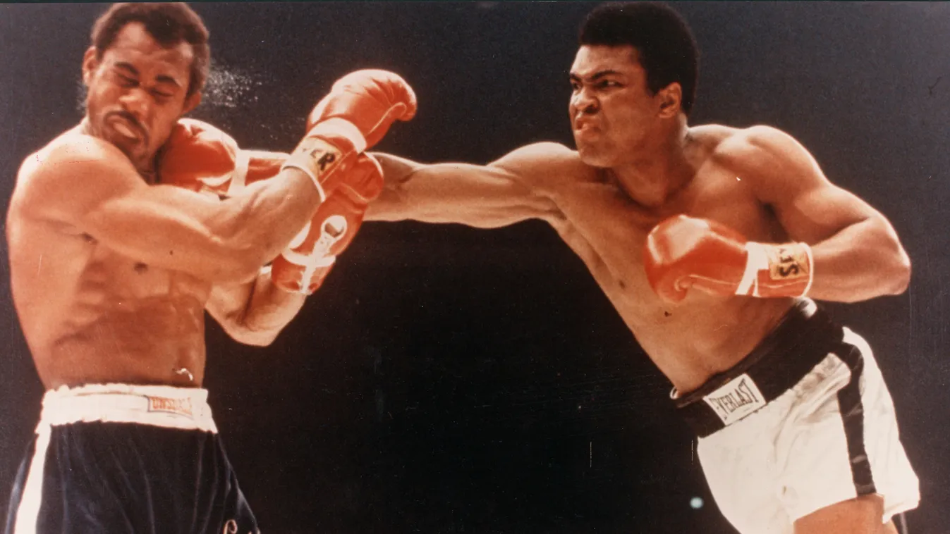 Muhammad Ali, boksz 