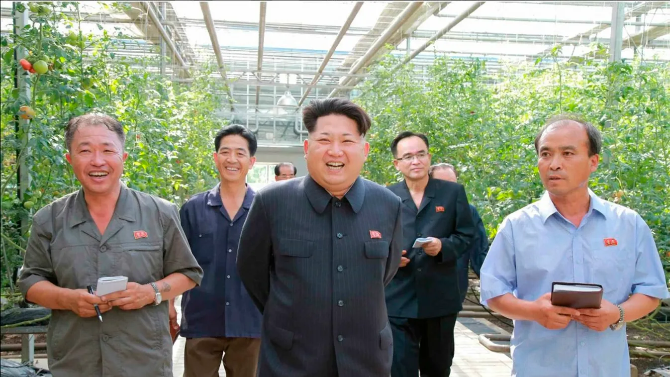 KIM Dzsong Un ARCKIFEJEZÉS Közéleti személyiség foglalkozása mosolyog NÖVÉNY politikus SZEMÉLY Phenjan, 2015. július 7.
A Rodong Sinmun című észak-koreai pártlap által 2015. július 7-én közreadott dátummegjelölés nélküli képen Kim Dzsong Un első számú ész