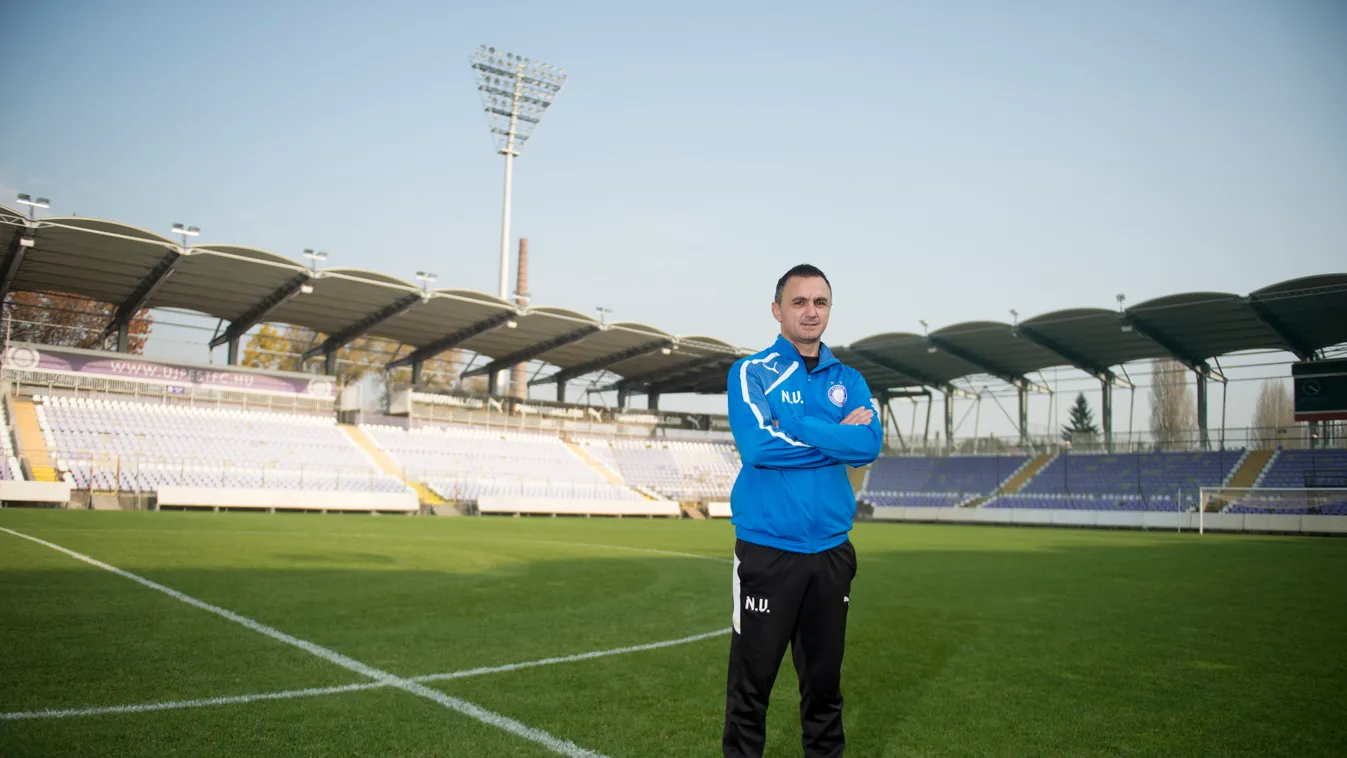 Nebojsa Vignjevics, edző, Újpest FC, UTE 