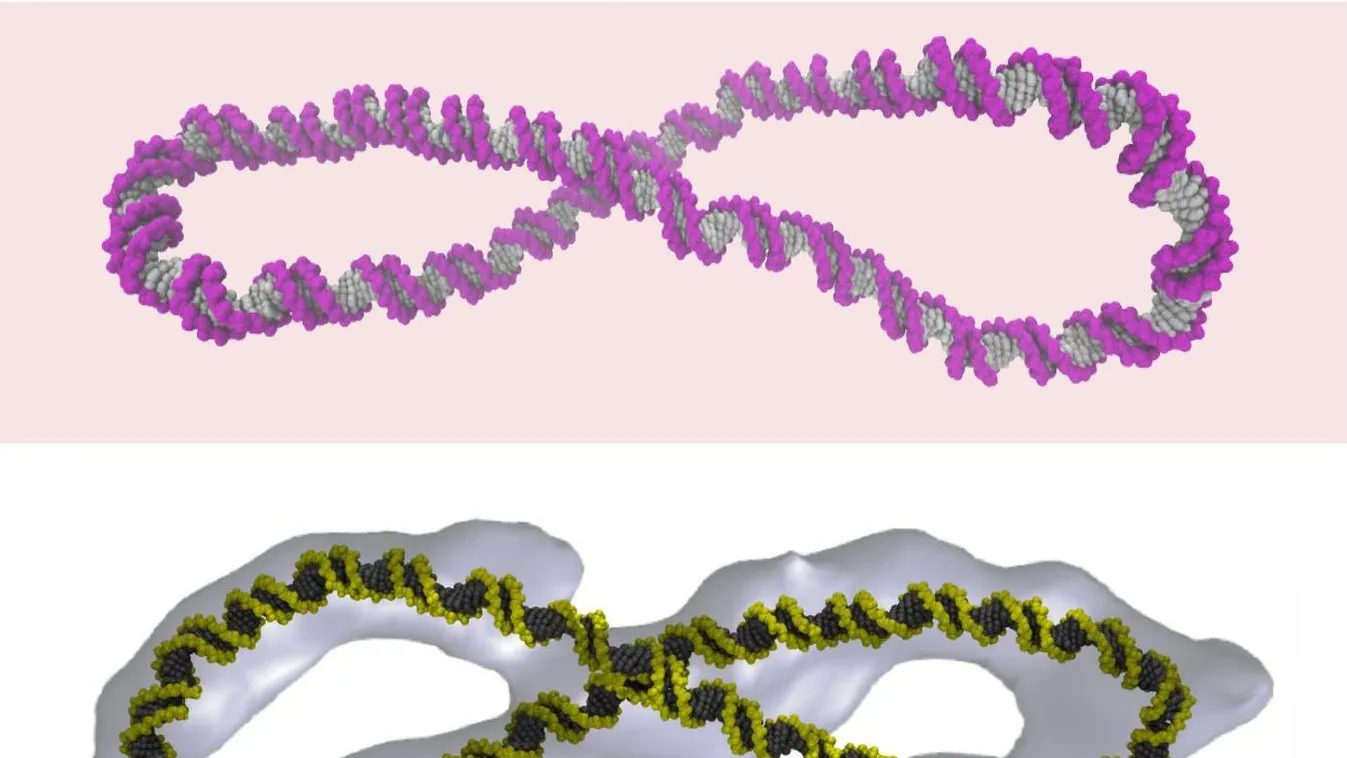 szupercsavart DNS 