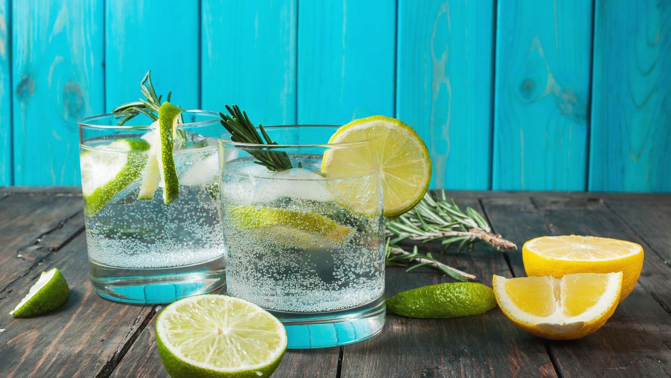 Alcoholic drink gin tonic cocktail with lemon, rosemary and ice gin cocktail alcohol background beverage citrus cold cool drink fresh freshness fruit glass green herb ice juice lemon lemonade lime liquid refreshment rosemary slice soda summer sweet tonic 