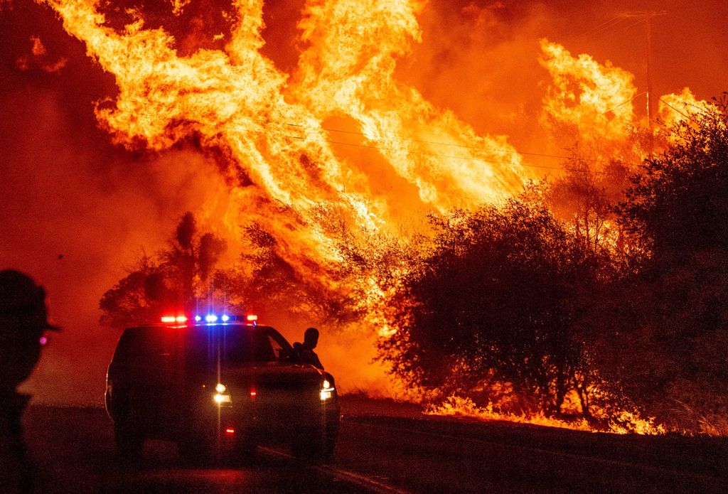 tűz, USA, Egyesült Államok, nyugati partvidék, Horizontal FIRES AND FIRE-FIGHTING NATURAL DISASTERS FLAME FOREST FIRE 