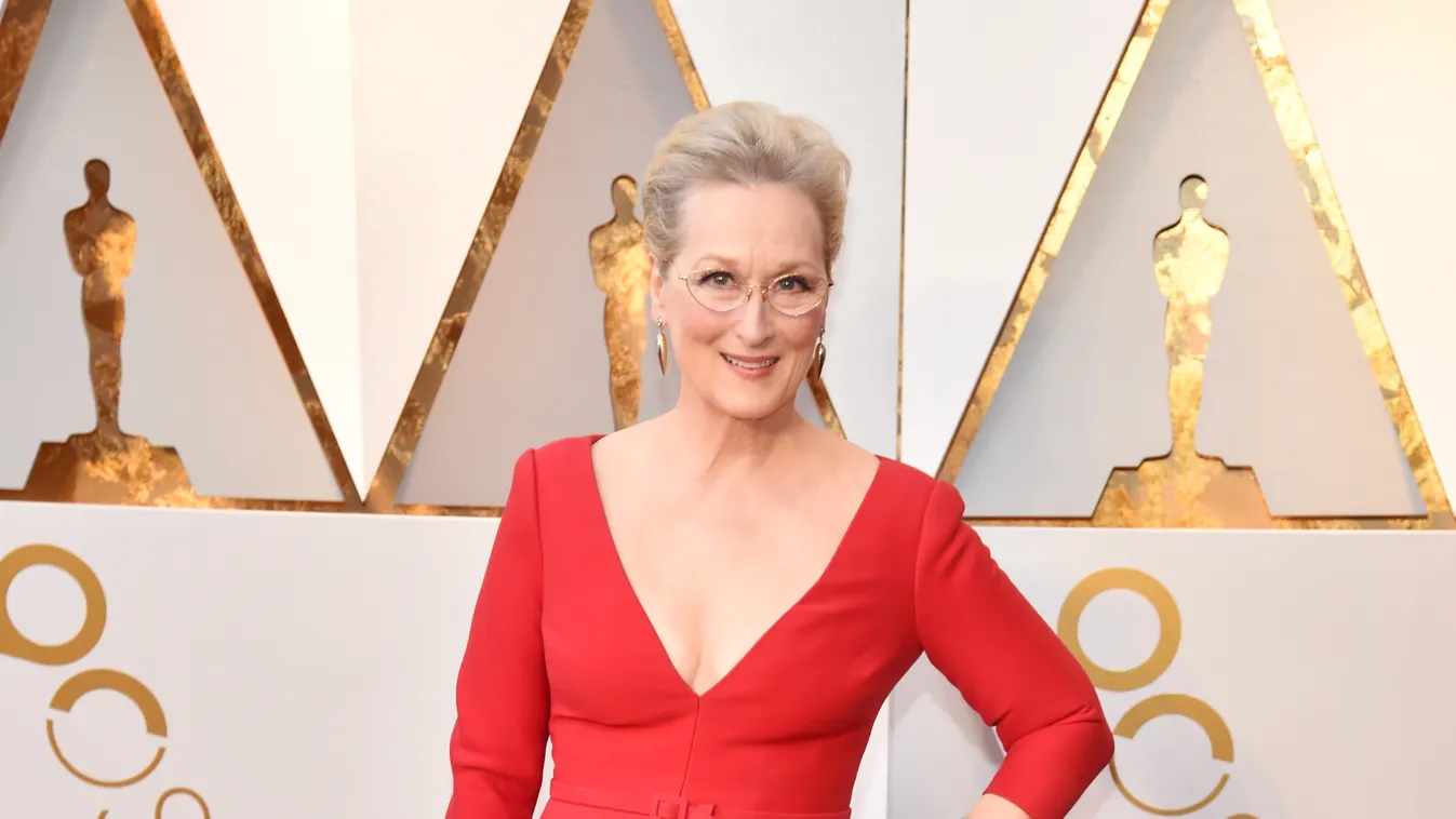 90th Annual Academy Awards - Arrivals 2018 Oscars Meryl Streep 