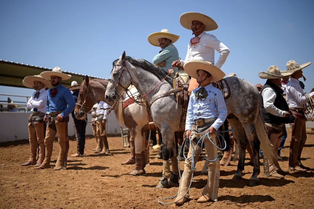 charro, mexikó, rodeó, lovas, verseny, sport, nemzeti, cowboy 