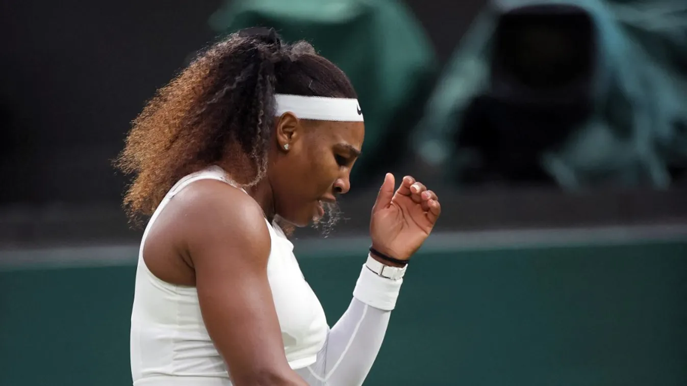 Wimbledon Tennis / Serena Williams drops out Square 