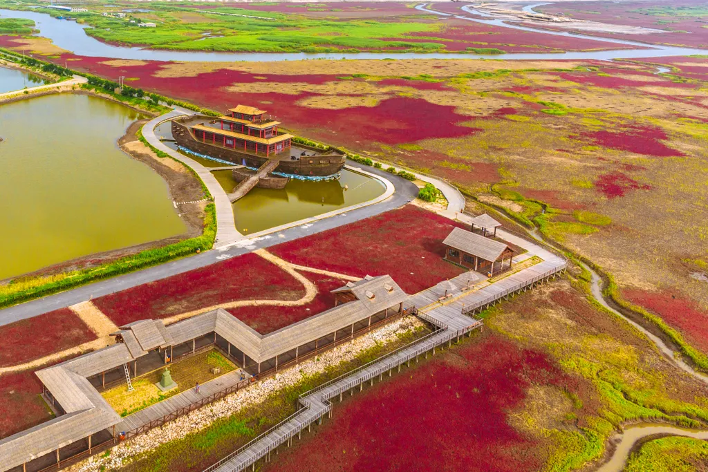 Különleges természeti jelenség: minden évben vörössé változik a kínai Liaohe folyó deltája, galéria, 2023 