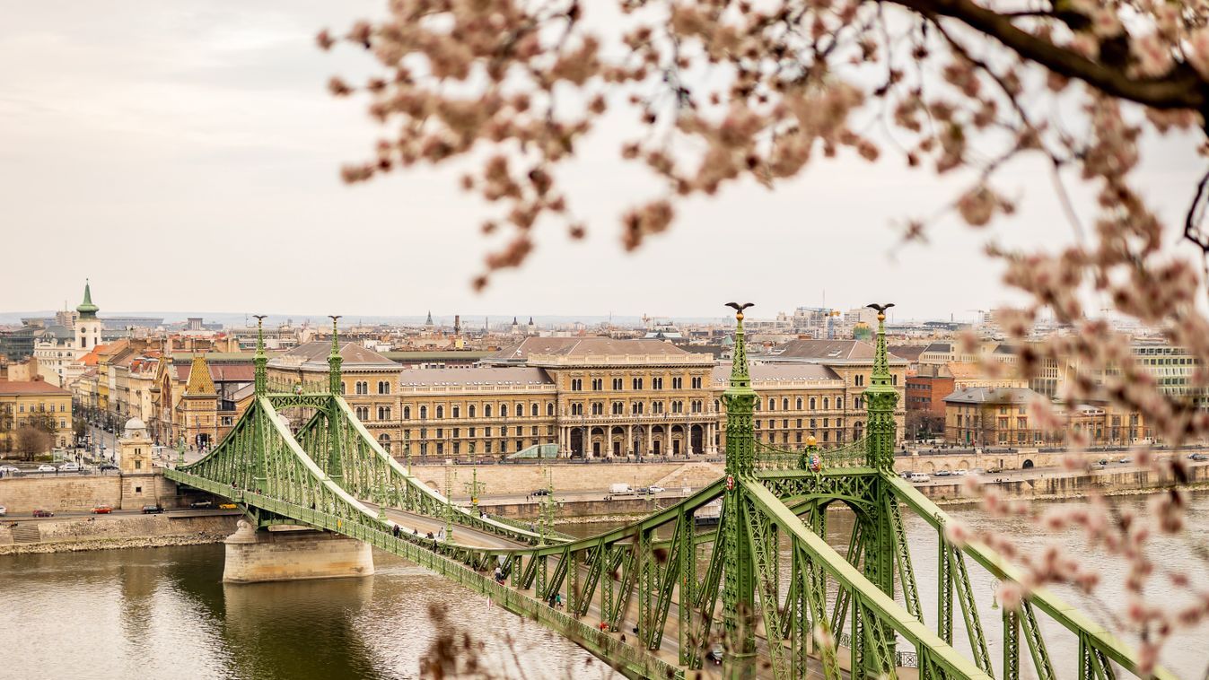 Corvinus, Budapest, egyetem, híd 