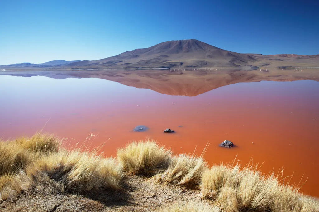 Laguna Colorada Bolívia 