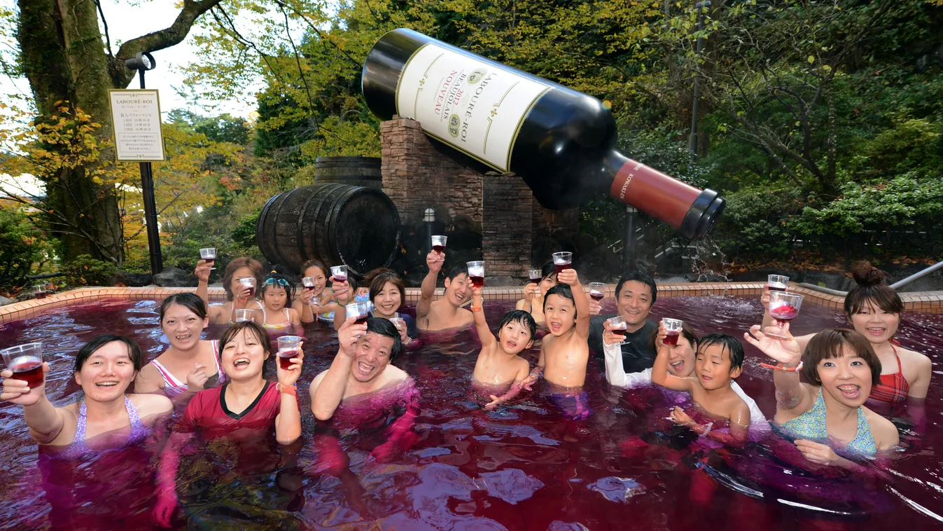 japán bor medence spa 