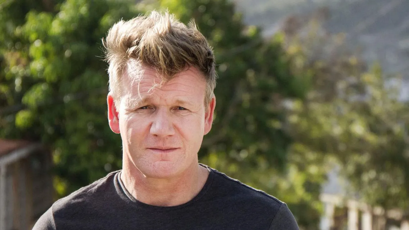 Gordon Ramsay 