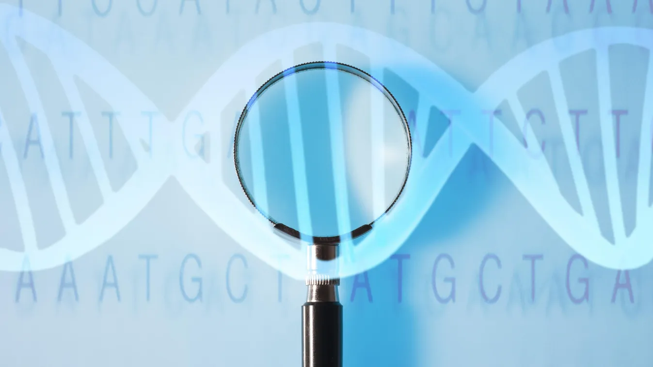 Conceptual image of genetic research indoors nobody no-one studio shot montage conceptual artwork genetics genetic research code double helix DNA acgt magnifying GLASS gene genes INVESTIGATION forensics testing BIOLOGY biological genome genotype concept c