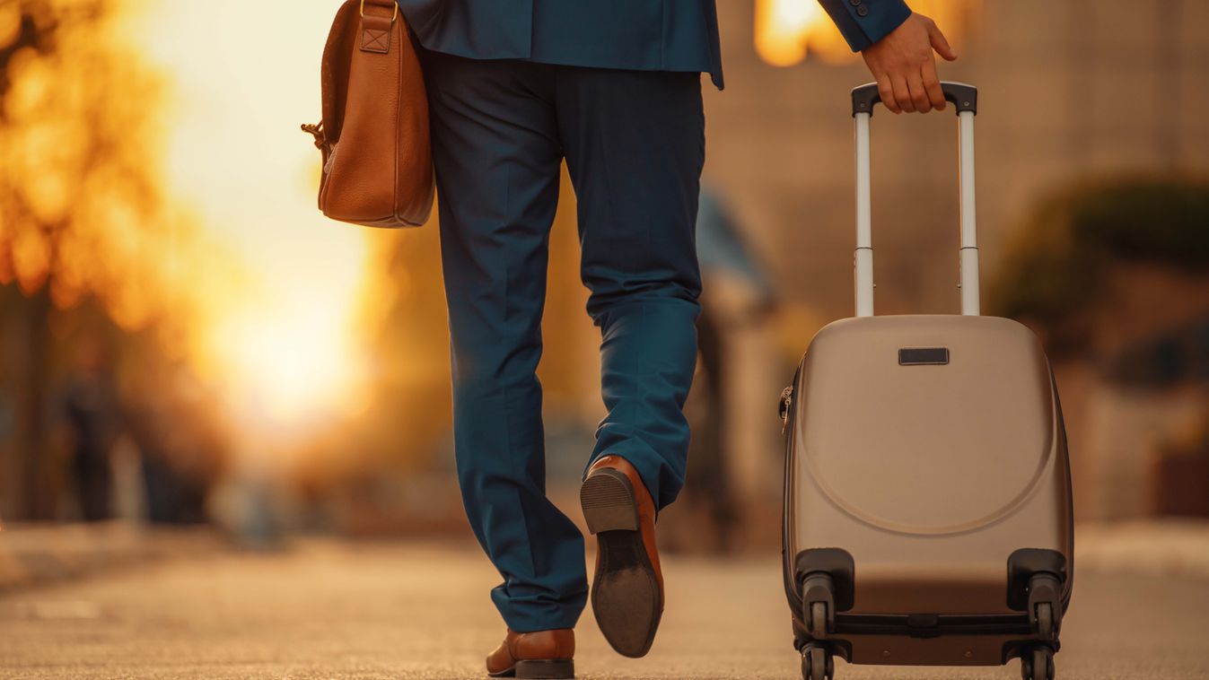 bőrönd, utazás, táska 