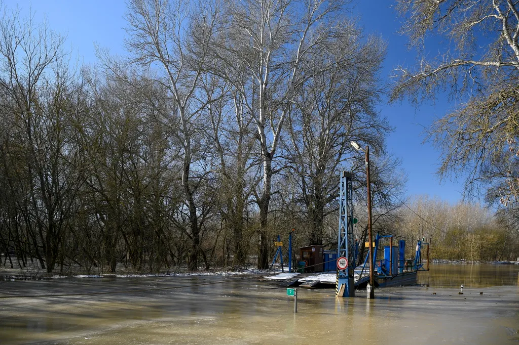 áradás, Tisza, folyó 