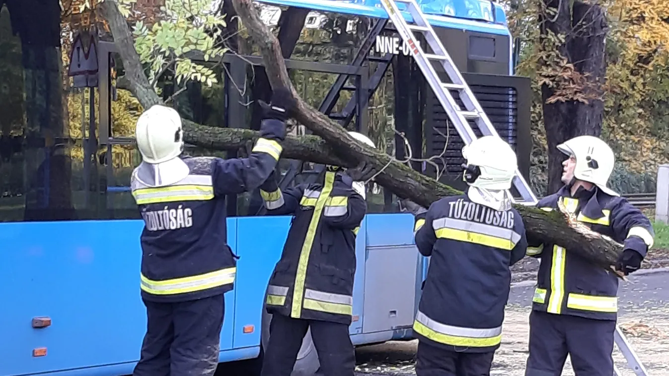 tűzoltók próbálják leemelni egy kidőlt fa ágát a buszról, amire ráesett 