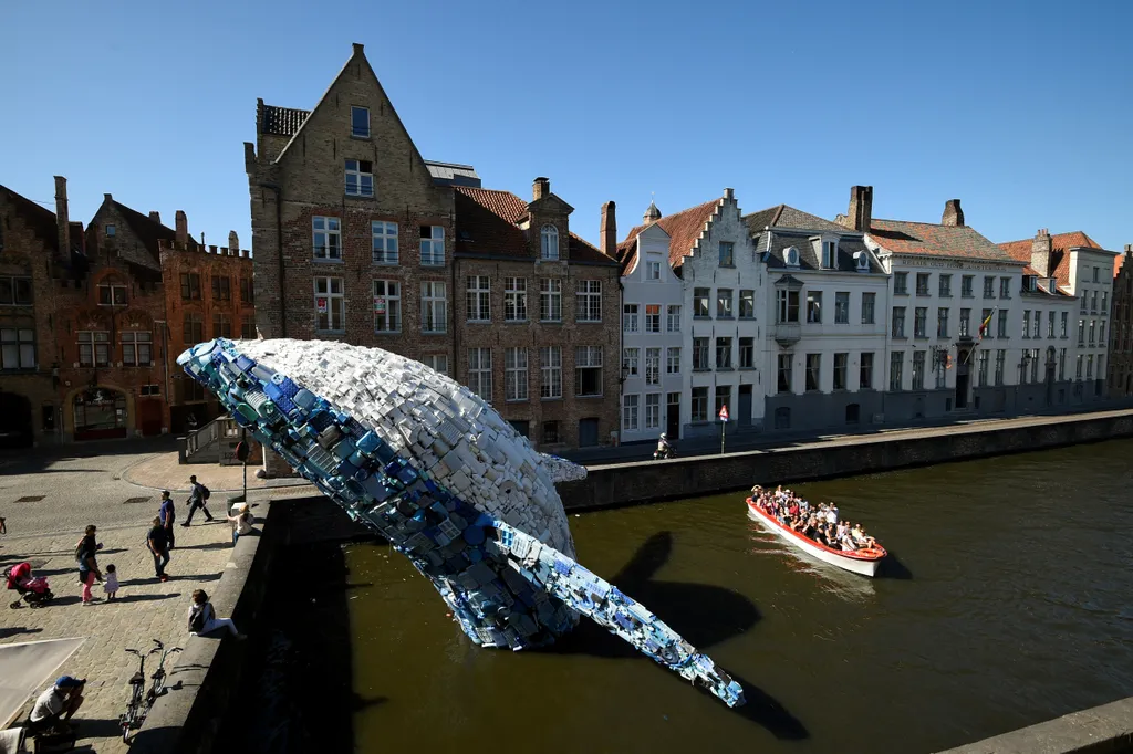 bálna Brugges 