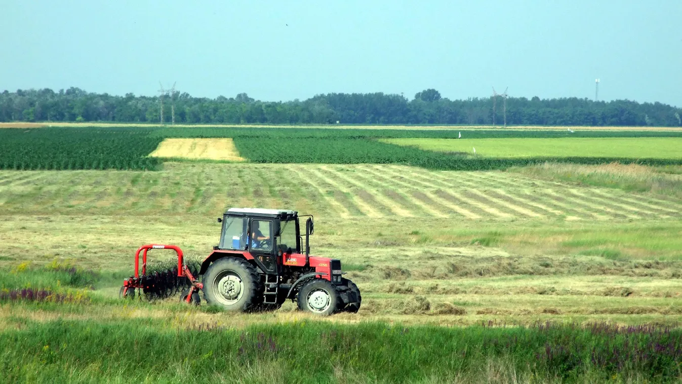 ÉVSZAK KÖZLEKEDÉSI ESZKÖZ nyár síkság traktor magyar mezőgazdaság Magyarország 