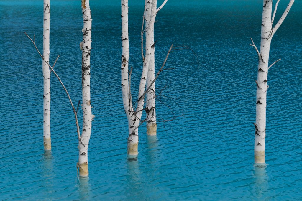 Novoszibirszk tó 