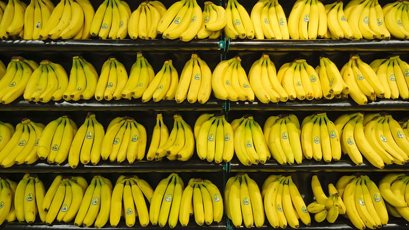 banán, 
Banánnal feltöltött polcok Debrecenben, az újonnan nyílt repülőtéri Tesco áruházban