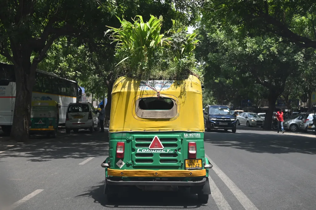 közlekedés, delhi, riksa, Egy sofőr Delhiben kertet ültett riksája tetejére a hőség ellen 