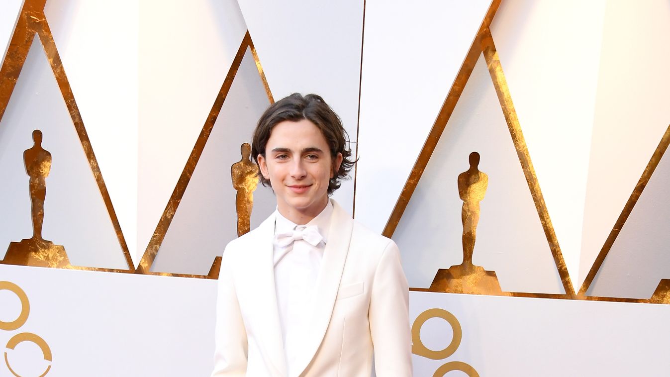 90th Annual Academy Awards - Arrivals Oscars Oscar 2018 Timothée Chalamet 