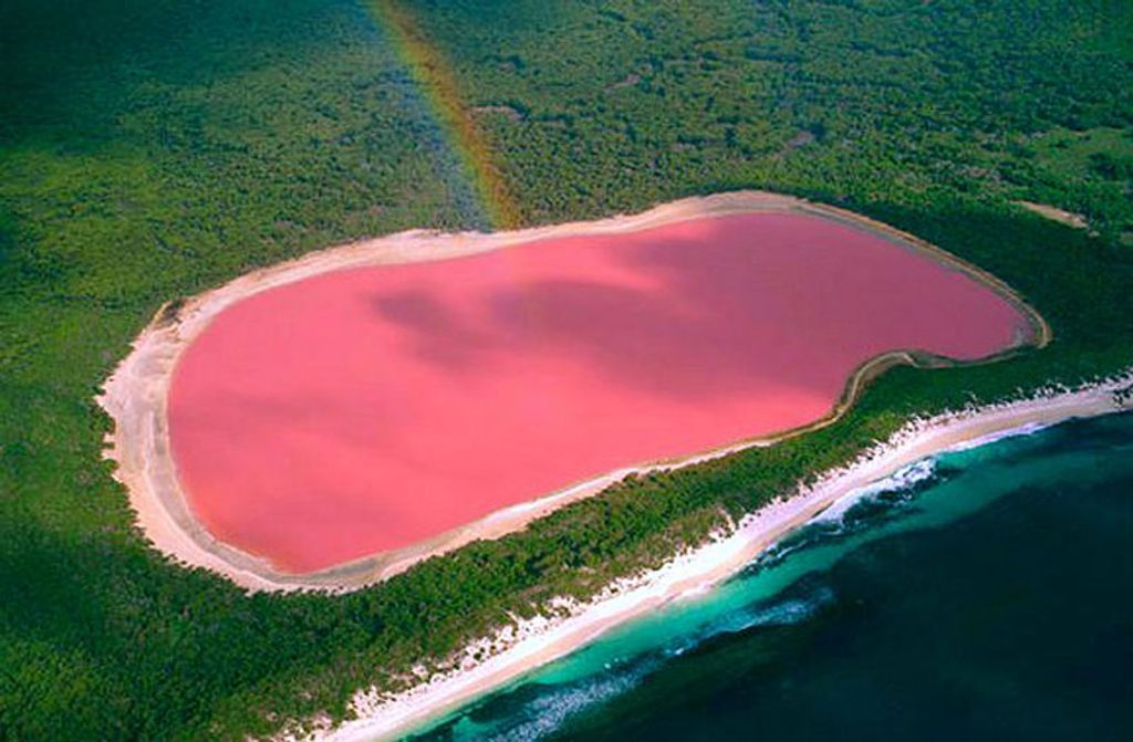 Hillier-tó rózsaszín Ausztrália 