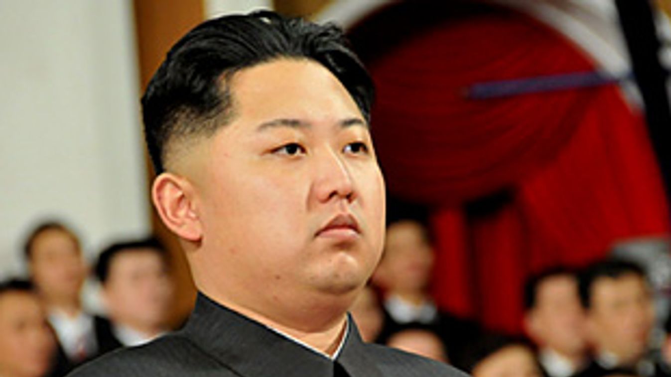 Kim Dzsong Un, Kim Dzsong Il észak-koreai pártfőtitkár fia