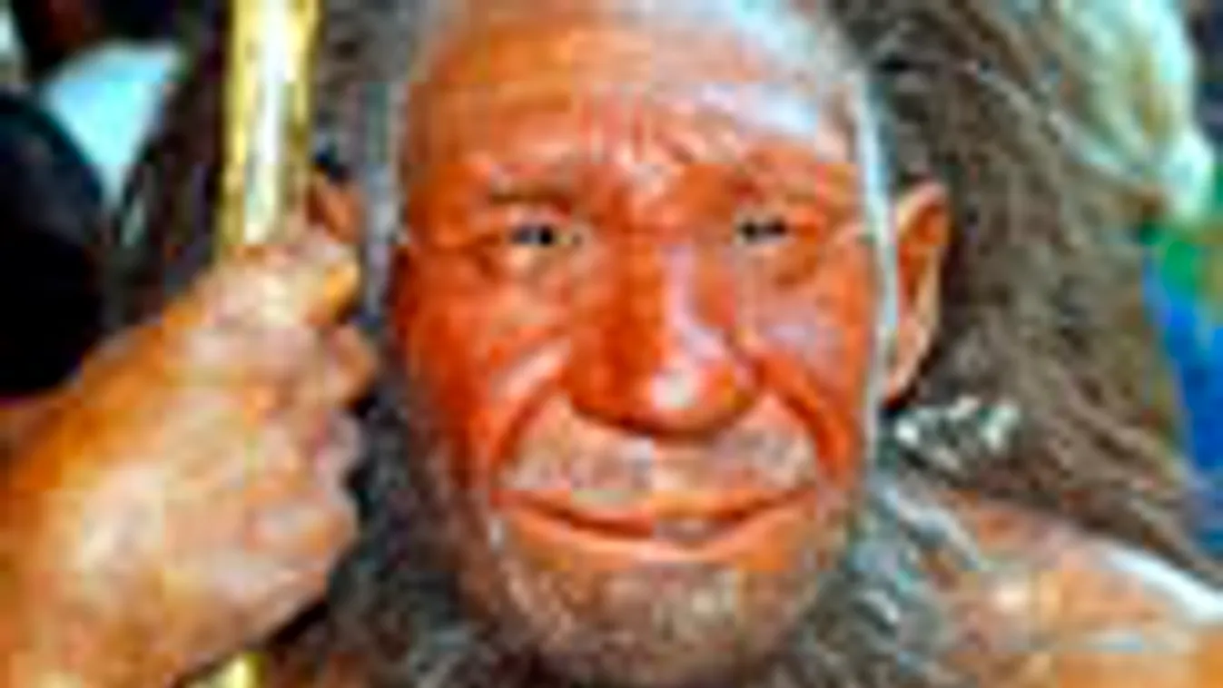 Nagyszülő evolució, neandervölgyi ember rekonstrukció