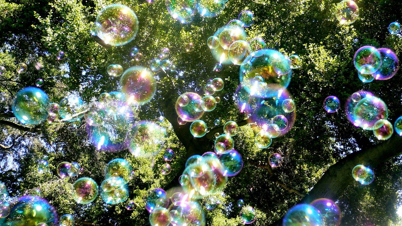 buborék, szín, vízió, szürreális 