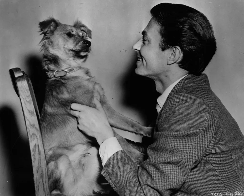 Odd Man Out (1947) uk Cinema chien Square Horizontal DOG 