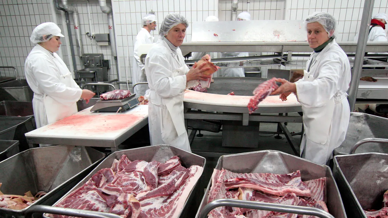 CSELEKVÉS HÉTKÖZNAPI férfiak munkában TÁRGY ÖLTÖZÉK védőruha üzem nyers hús húsfeldolgozó 