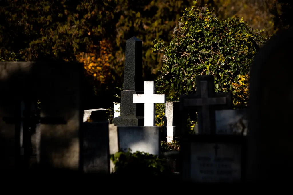 Temető fotózás Farkasréti temető halottak napja 2021. 