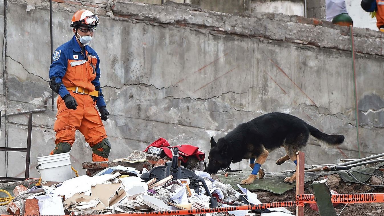 earthquake Horizontal A Japanese rescuer with a sniffer dog takes part in the search for survivors at a flattened building in Mexico City on September 22, 2017 three days after a strong quake hit central Mexico.
A powerful 7.1 earthquake shook Mexico City