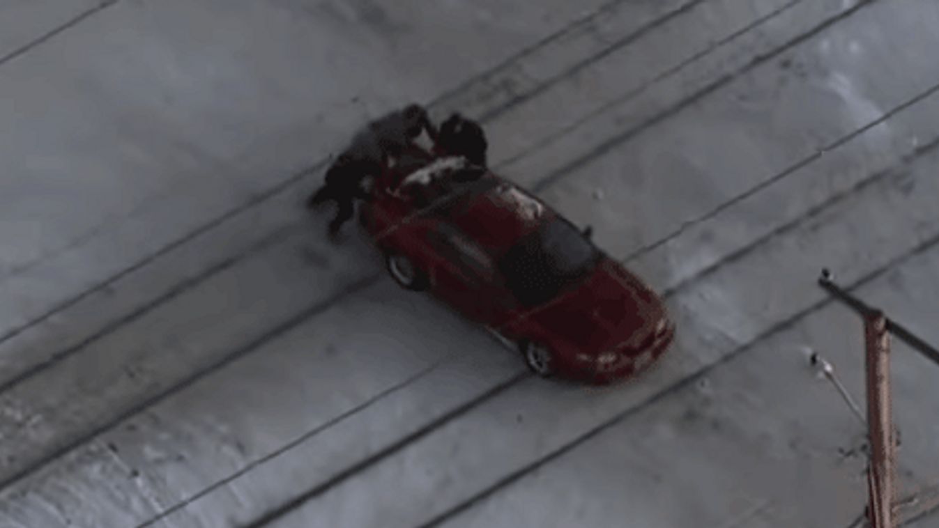 Good Samaritans Save Ford Mustang Driver Stuck On Tracks Seconds Before Train Approaches 