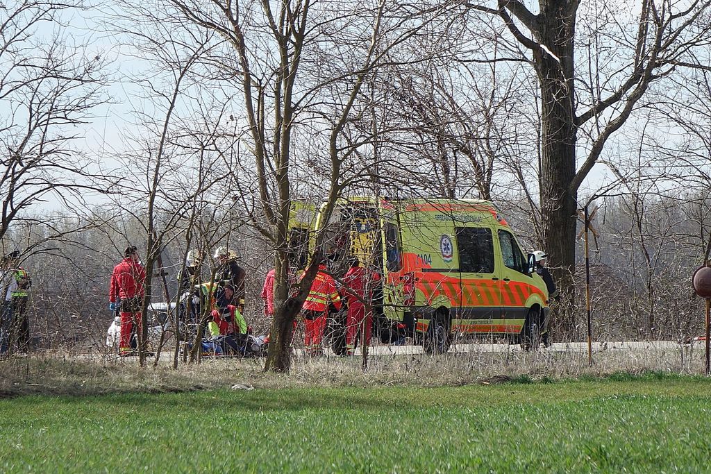 Három ember meghalt, ketten súlyosan megsérültek, amikor két autó ütközött frontálisan az 5402-es számú főúton március 15-én reggel. A baleset az 35-ös és 36-os kilométerszelvény között, Kiskunmajsa térségében történt. 