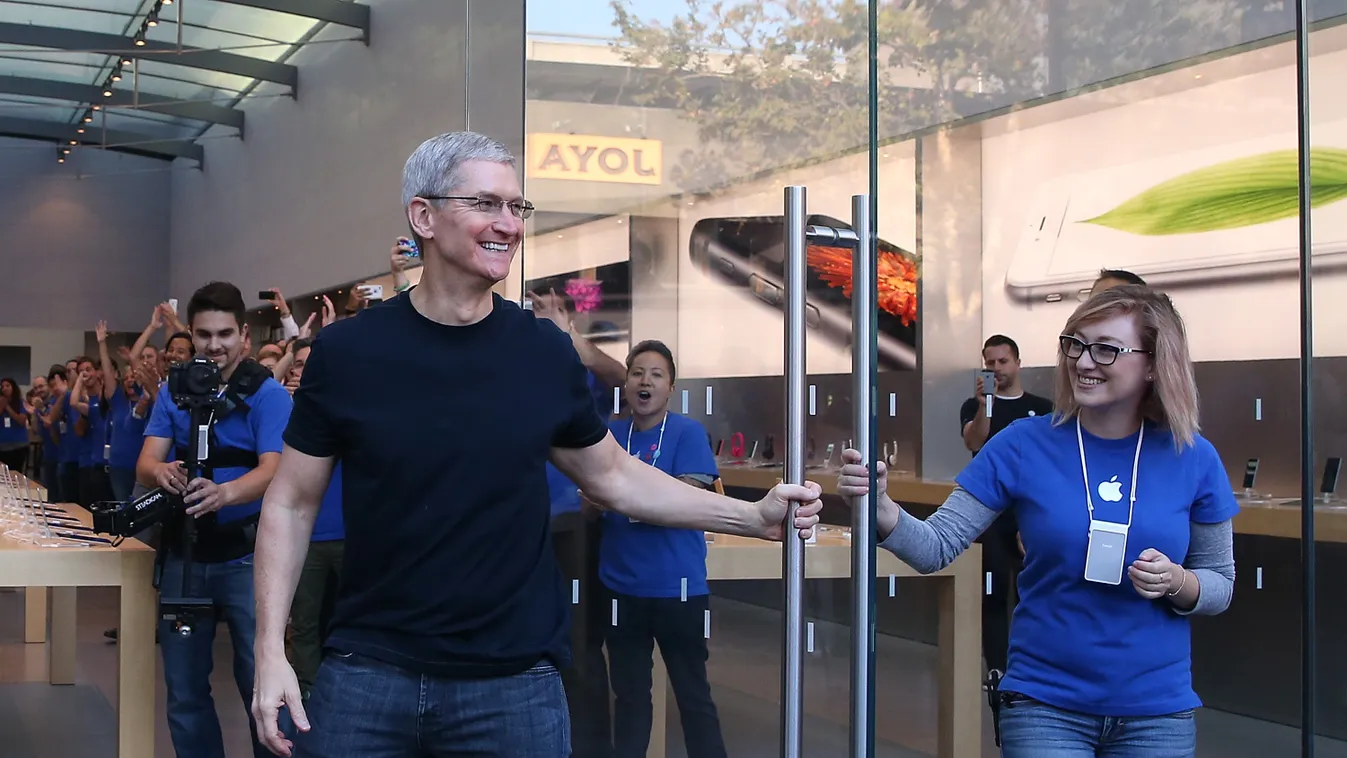 tim cook 