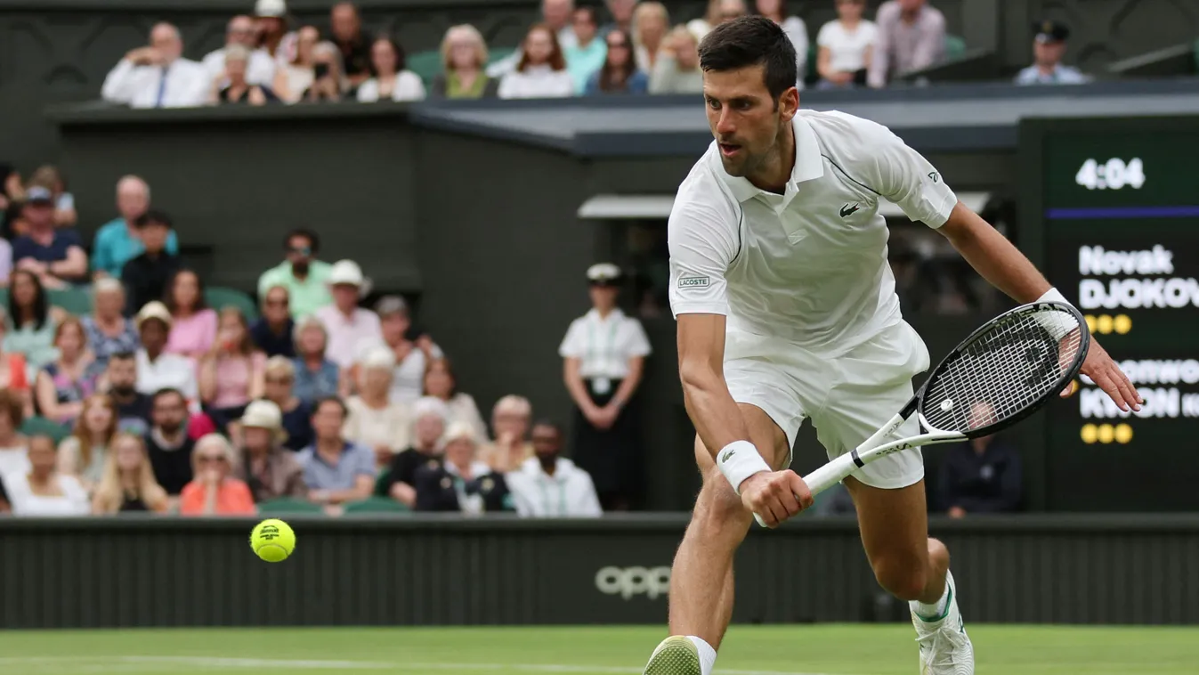 tenisz Wimbledon Novak Djokovic 