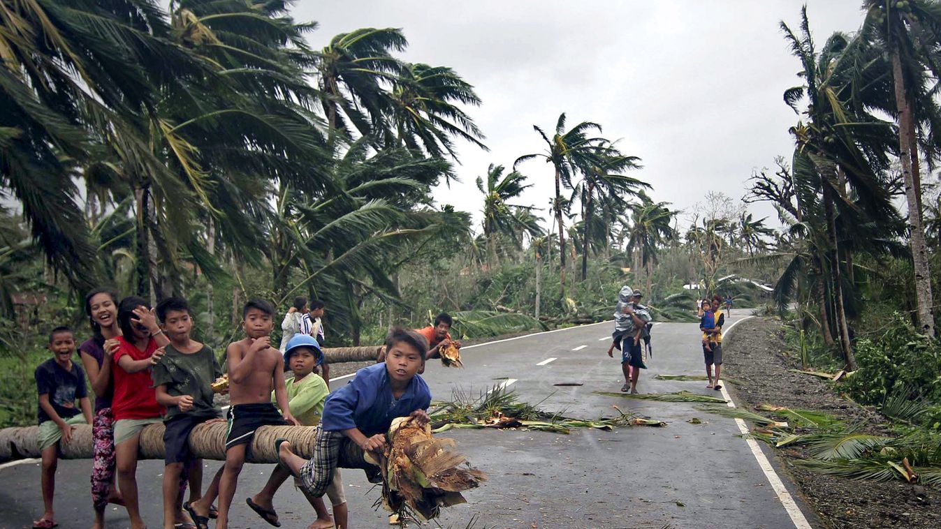 Children play on top of a fallen coconut tree blocking a highway in San Julian town, Eastern samar province central Philippines on December 8, 2014 in the aftermath of typhoon Hagupit. Millions of people in the Philippine capital hunkered down on December