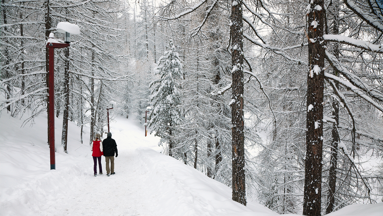 tél erdő hó kiránduló túrázó pár Mínusz 18 fokban tévedt el egy pár a Pilisben 
